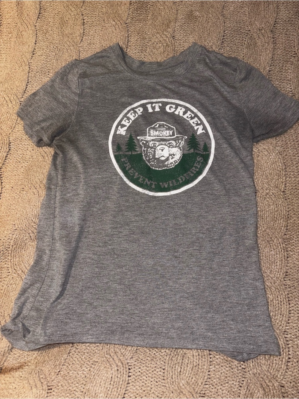 Smokey Bear Keep It Green Prevent Wildfires Graphic Tee Gray Size XS